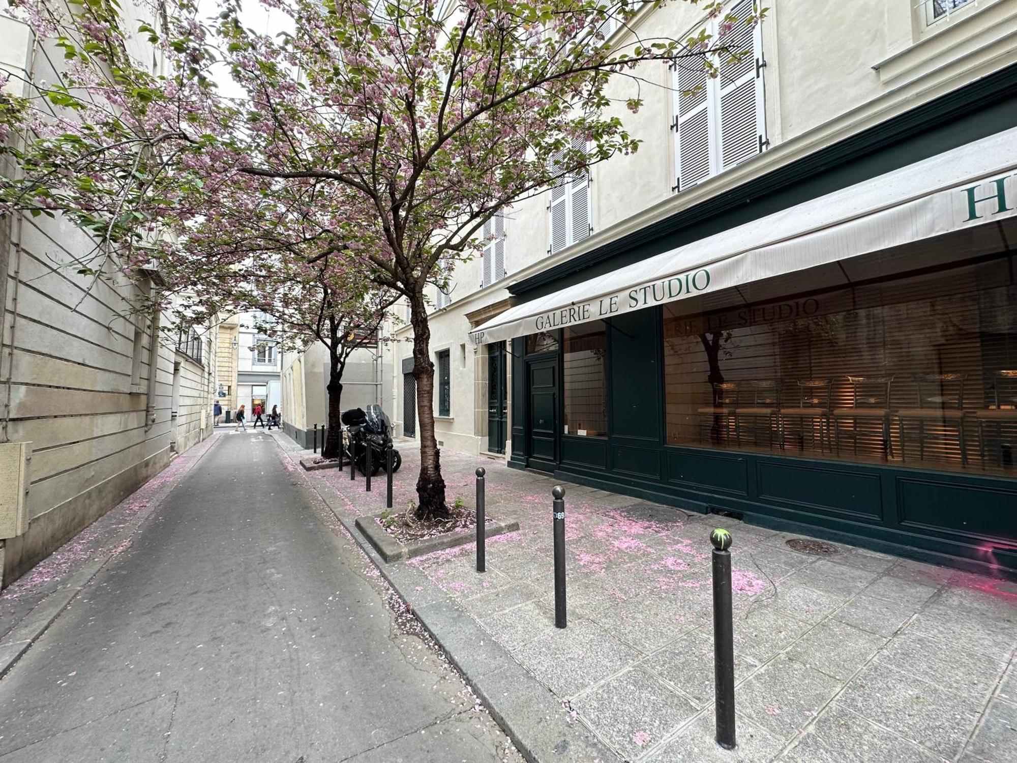 Spacious In Saint-germain-des-pres Appartement